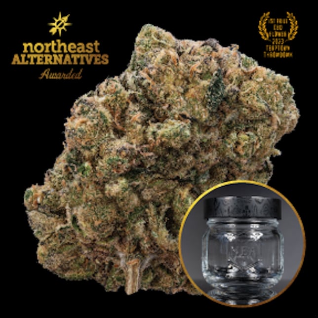 NEA Awarded - Kine Garlic Tsunami Flower - Image 1 NEA Awarded - Kine Garlic Tsunami Flower - Image 1