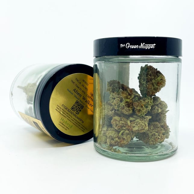 Alien Walker - Image 1 Alien Walker - Image 1