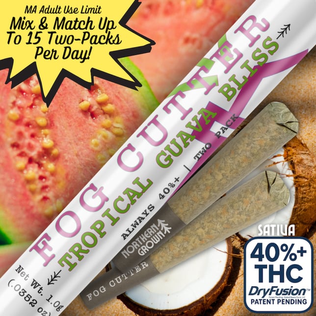 Fog Cutter - Tropical Guava Bliss Infused Hydro Pre-Roll 0.5g 2pk (1g) - Image 1 Fog Cutter - Tropical Guava Bliss Infused Hydro Pre-Roll 0.5g 2pk (1g) - Image 1