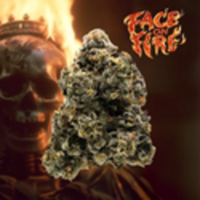 Face on Fire - Image 1 Face on Fire - Image 1