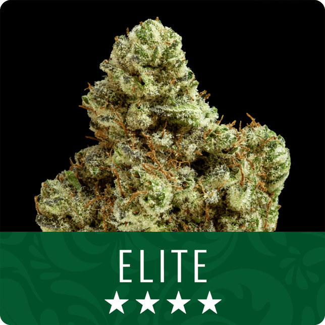 Runtz Banger - Image 1 Runtz Banger - Image 1