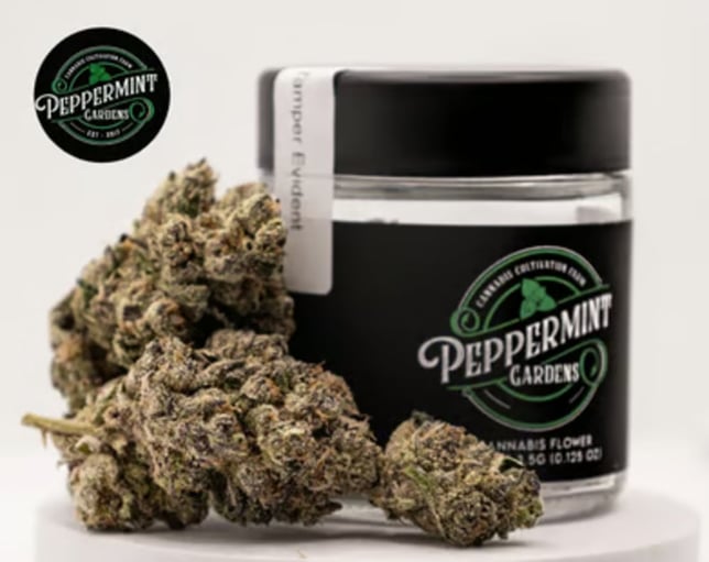 Pink Runtz - Image 1 Pink Runtz - Image 1