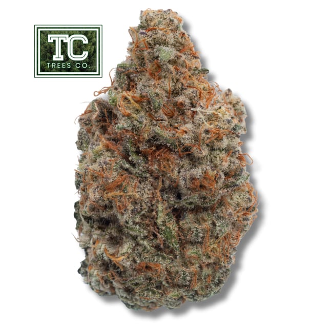 Trees Co. - Cadillac Mac Flower - Image 1 Trees Co. - Cadillac Mac Flower - Image 1