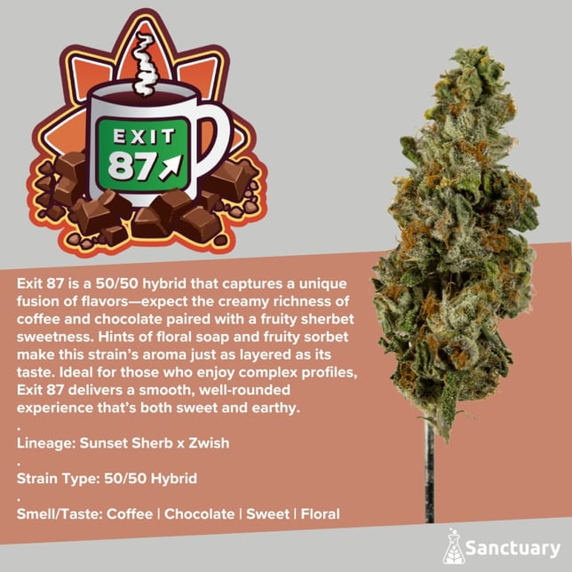 Sanctuary - Exit 87 Flower - Image 1 Sanctuary - Exit 87 Flower - Image 1