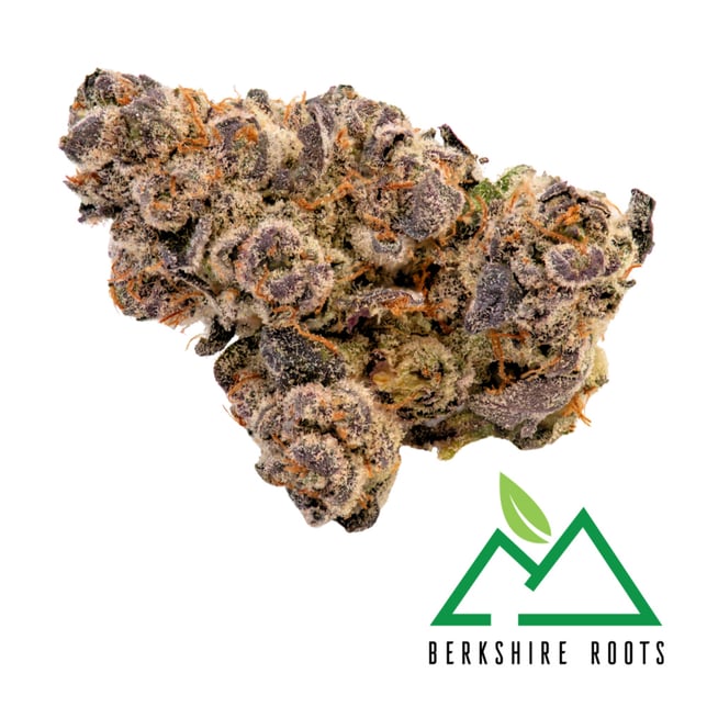 Berkshire Roots - Gorilla Noir Flower - Image 1 Berkshire Roots - Gorilla Noir Flower - Image 1