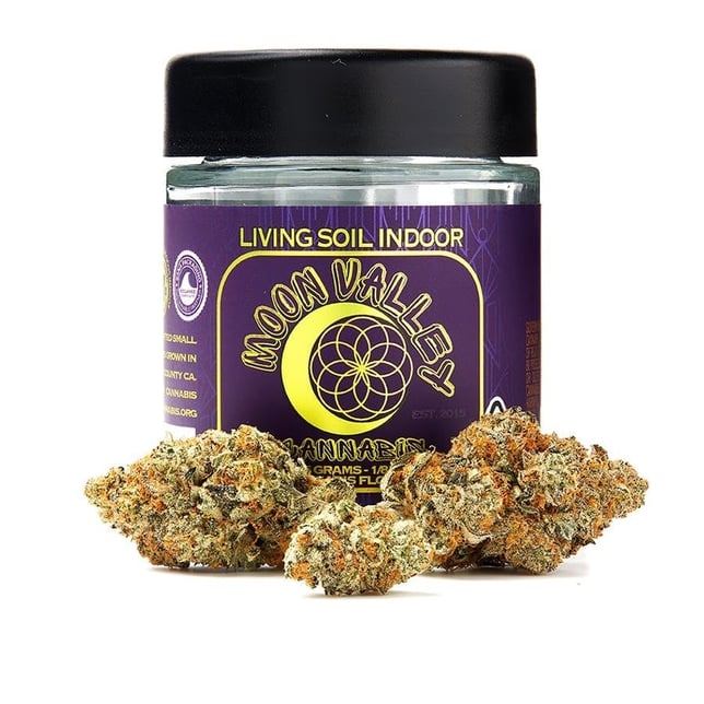 Gelato 33 - Image 1 Gelato 33 - Image 1