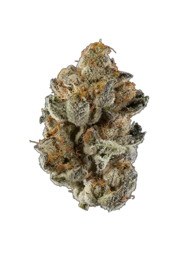 Lemon Cherry Gelato - Image 2 Lemon Cherry Gelato - Image 2