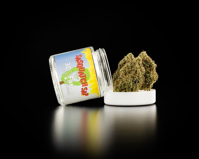 Sasquatch Sap - Image 1