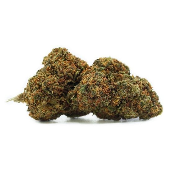 Stardawg F2