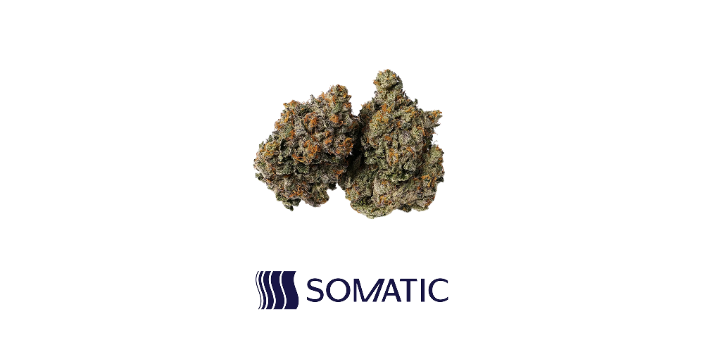 Save $40: 28g Somatic Flower for $120! special