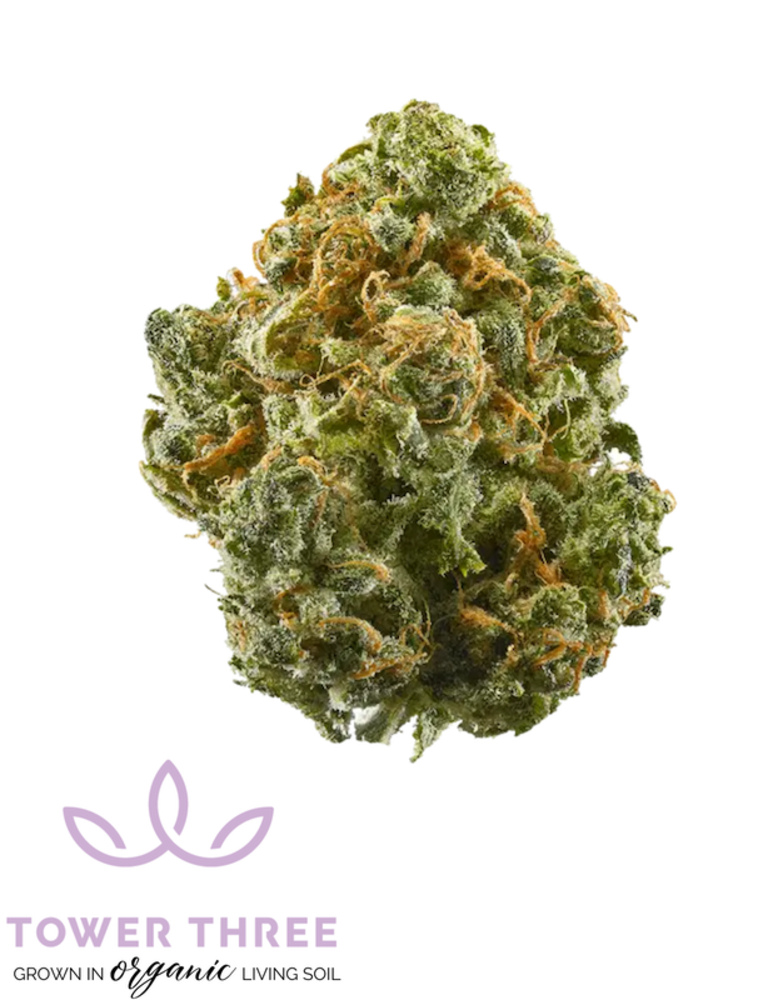 Tower Three - Mike & Gary Flower