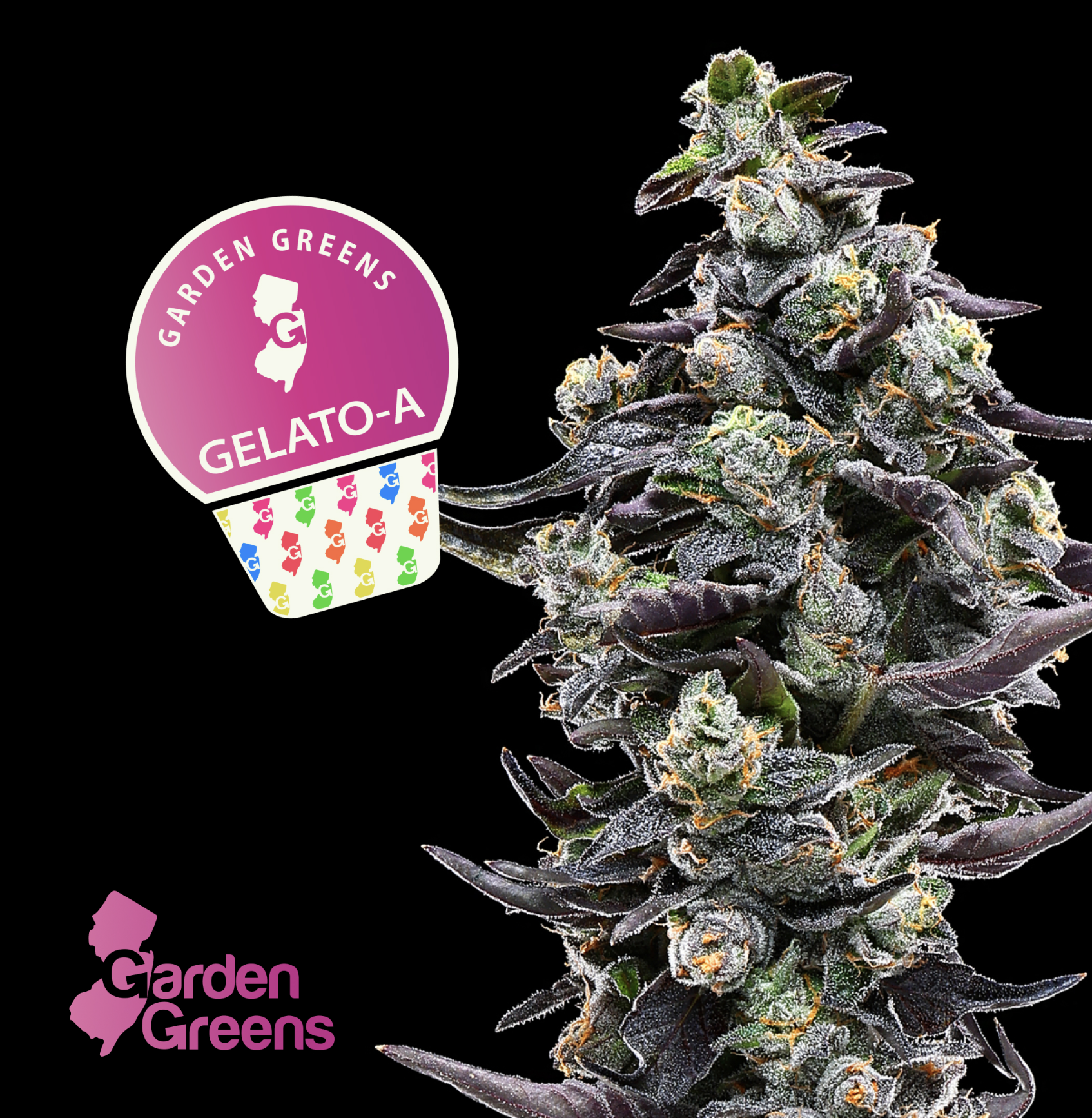 Gelato A🍧✨