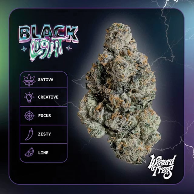 Black Light Black Light