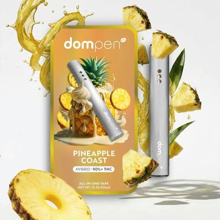 Pineapple Coast All-In-One (1g)