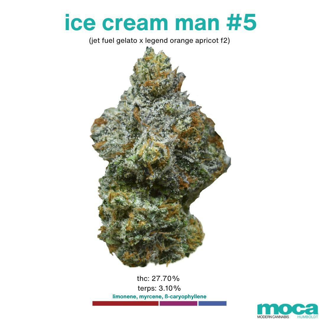 Ice Cream Man #5