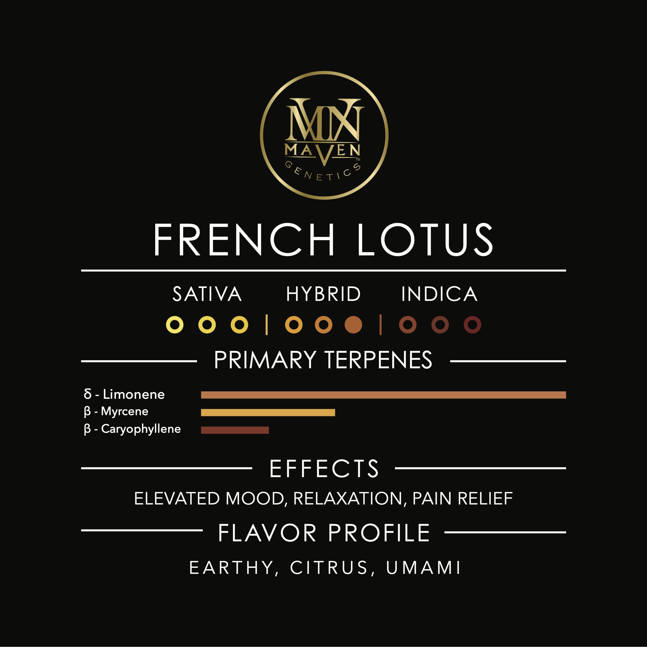 French Lotus Pre-Roll [1g]