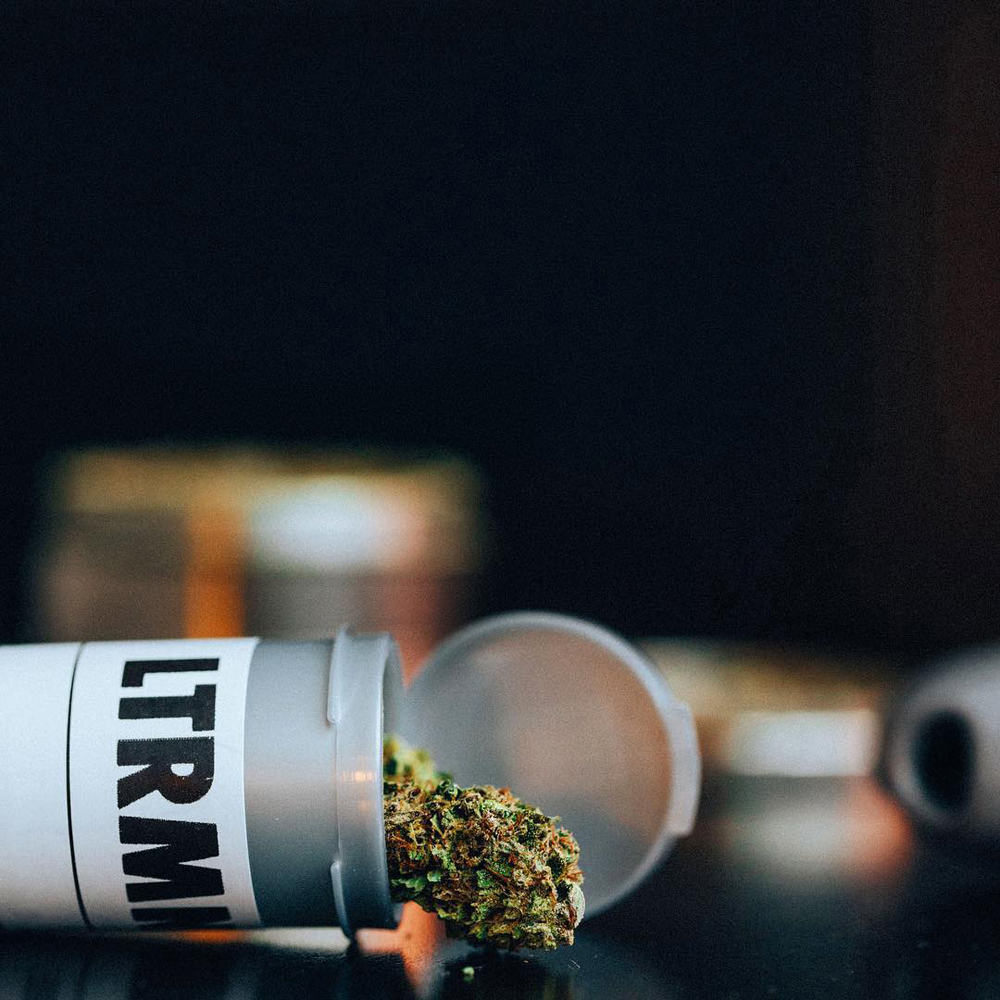 Cookie Dawg LTRMN Jane