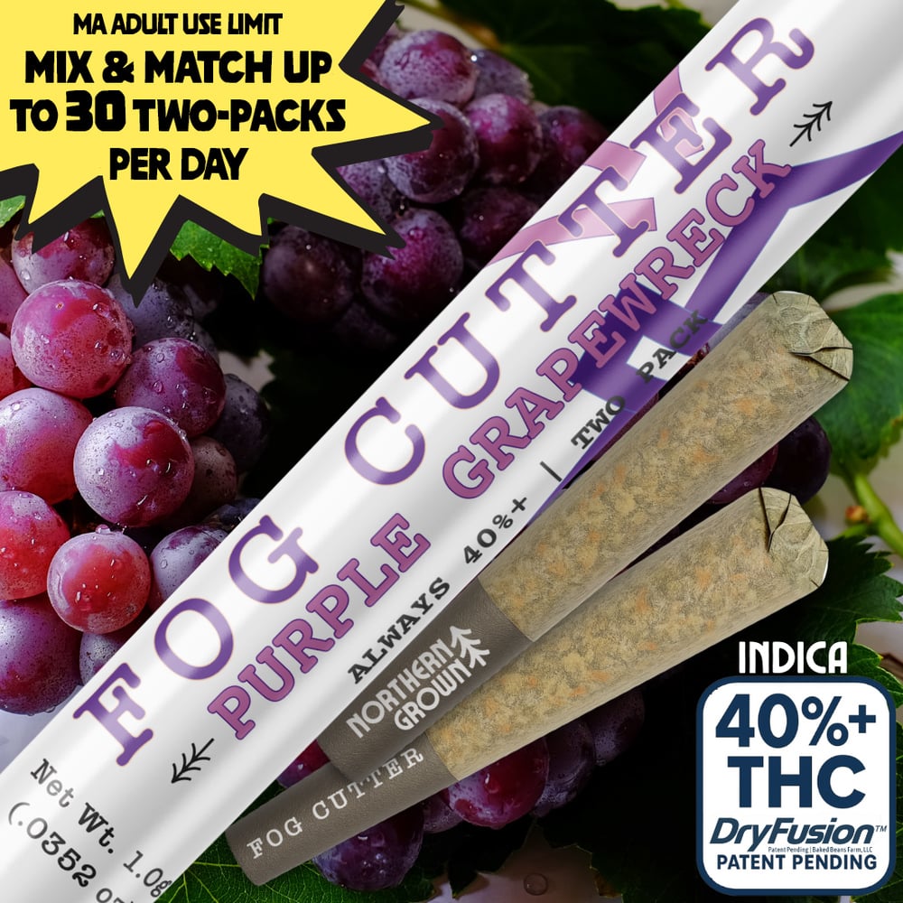 Fog Cutter - Purple Grapewreck Infused Hydro Pre-Roll 0.5g 2pk (1g)