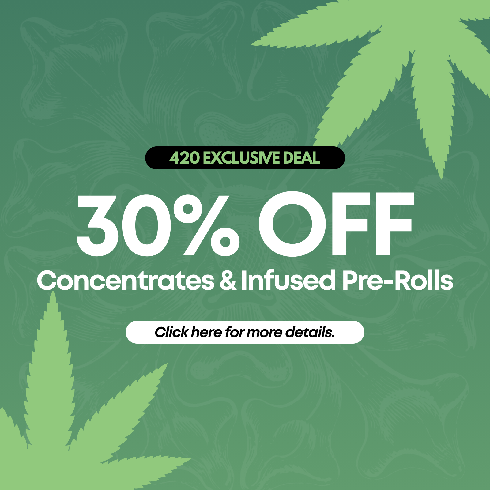30% Off Concentrates & Infused Pre-Rolls special