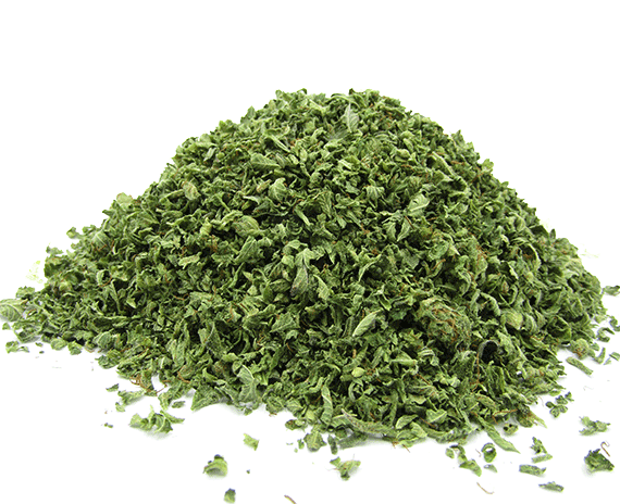 Evergreen Kush Evergreen Kush