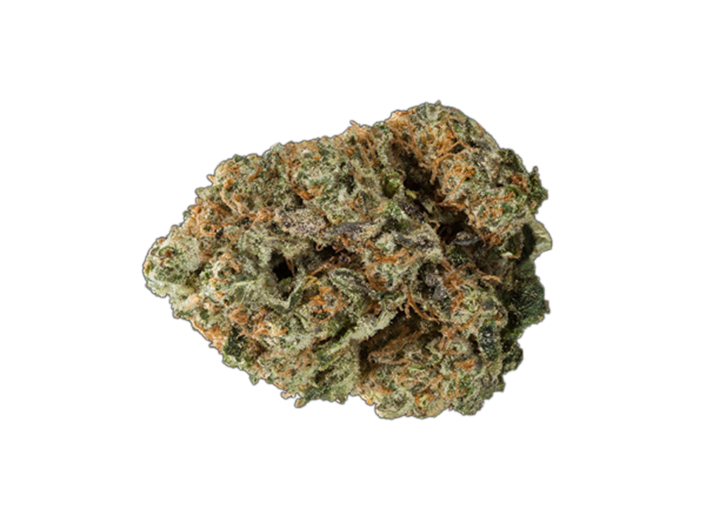 Cookies and Chem