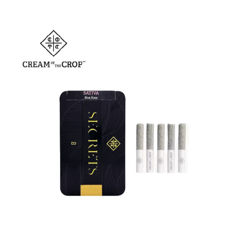 BLUE HAZE 2.5G LIVE RESIN INFUSED 5 PACK PREROLLS