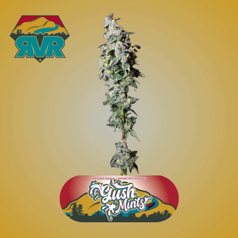 Gush Mints