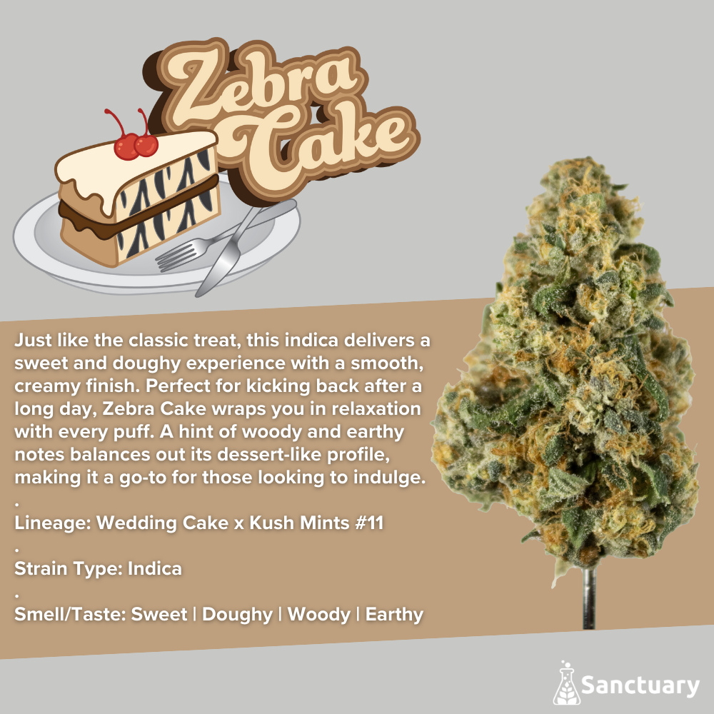 Sanctuary - Zebra Cake Flower