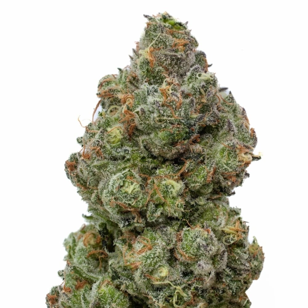 Trees Co. - The Dub Flower