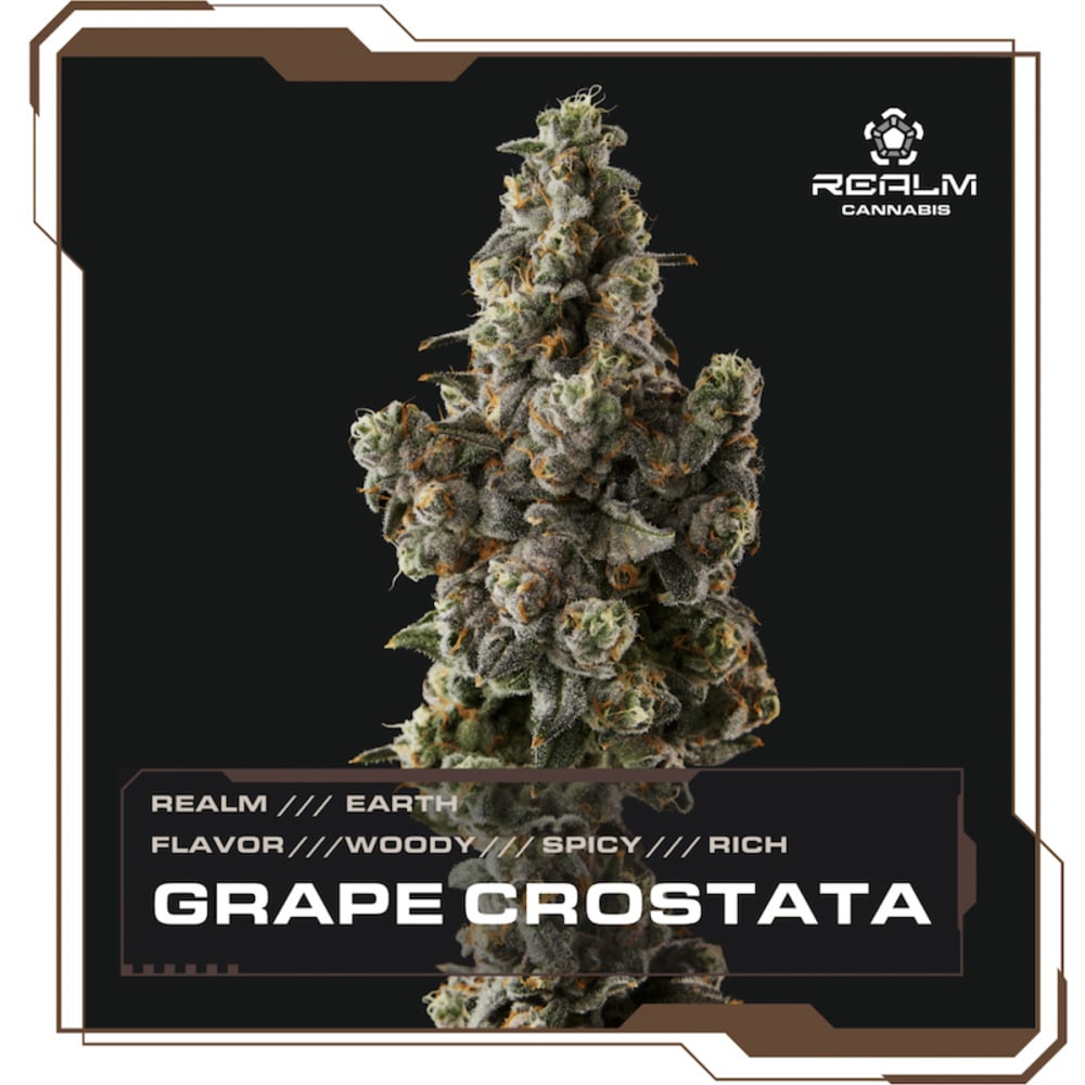 Realm - Grape Crostata Top Cut Flower