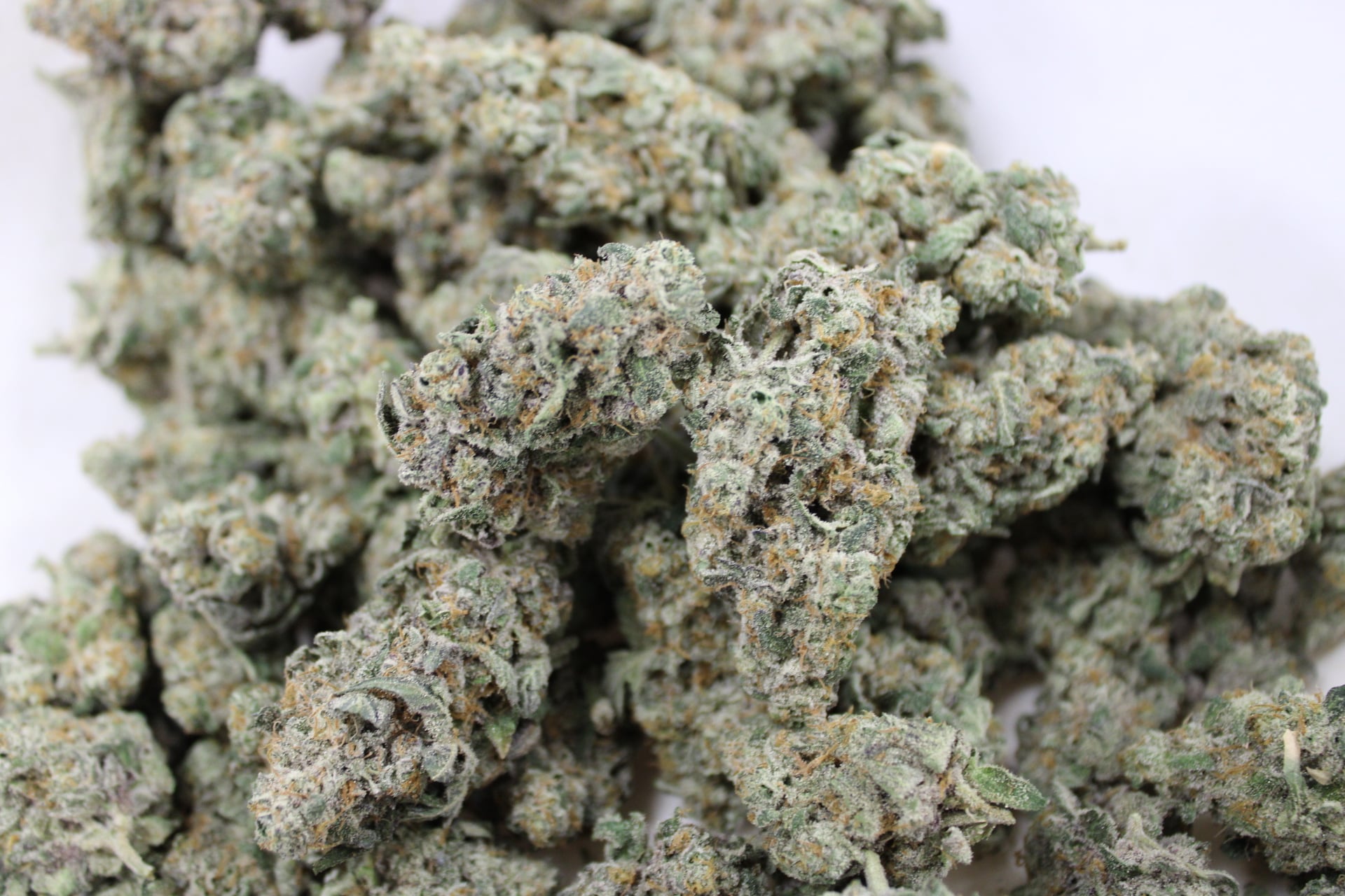 Dakota Green - Alien OG - Bulk Flower - Sativa