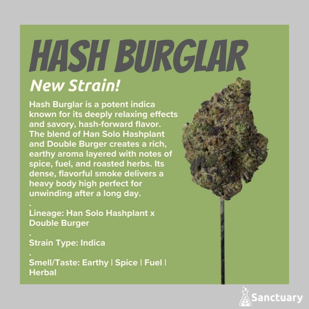 Sanctuary - Hash Burglar Flower