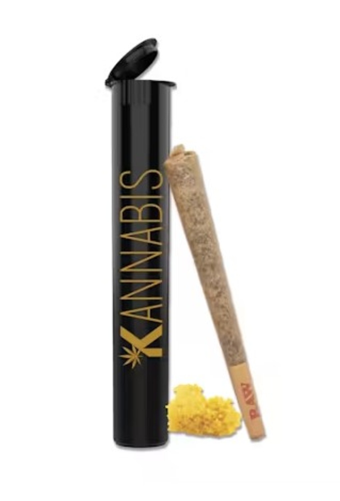 Mango Mintality [1g]