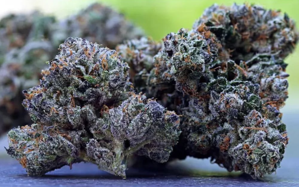 Sour Power OG Sour Power OG