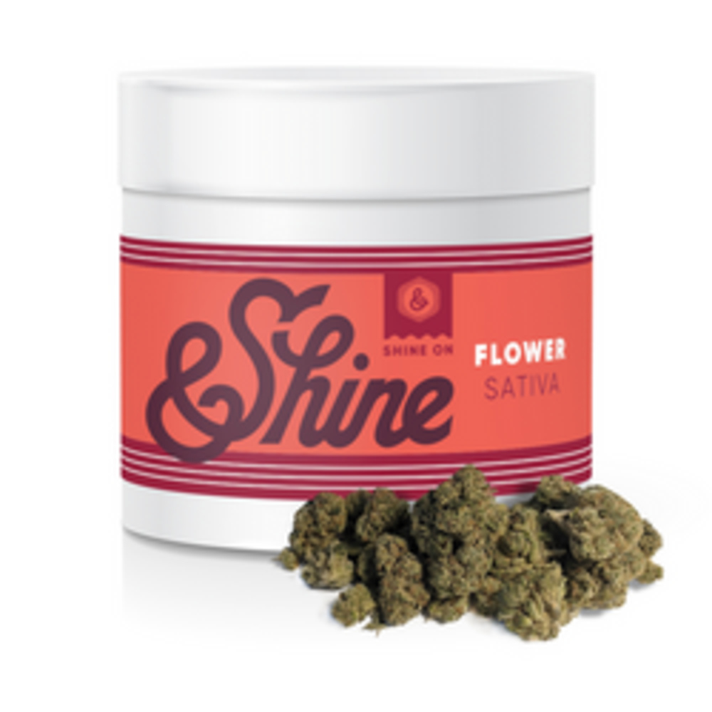 DURBAN ロロピアーナ FOUR SEASONS Super130’s Shop Cannabis in Boston | Rooted In