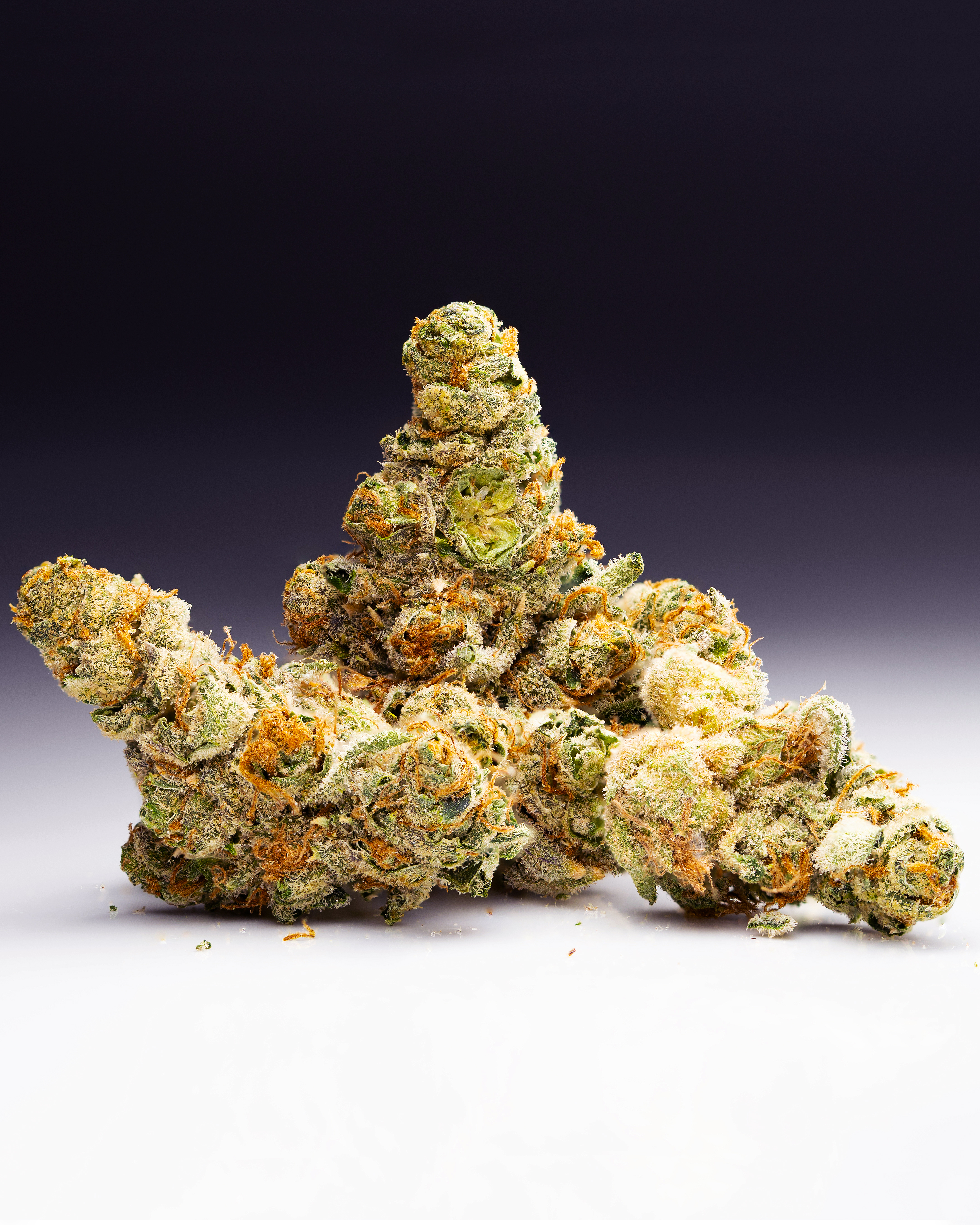 Orange Cookies