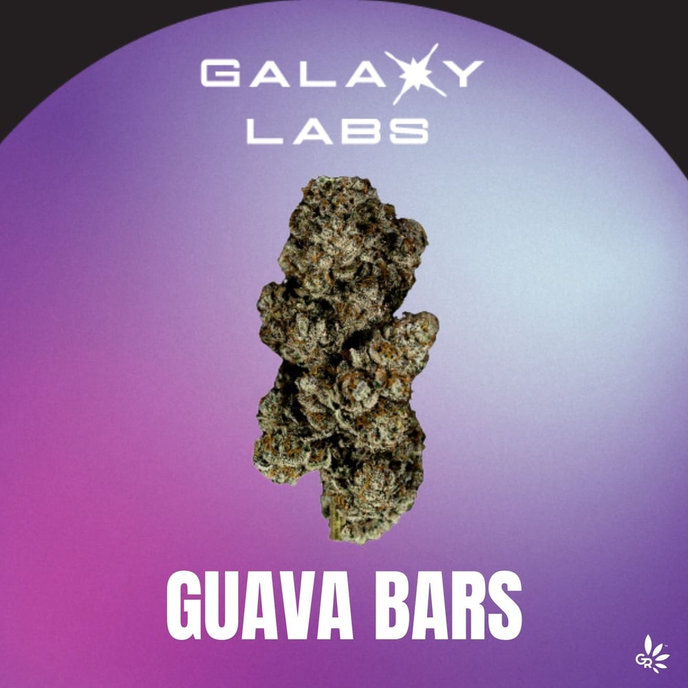 Guava Bars