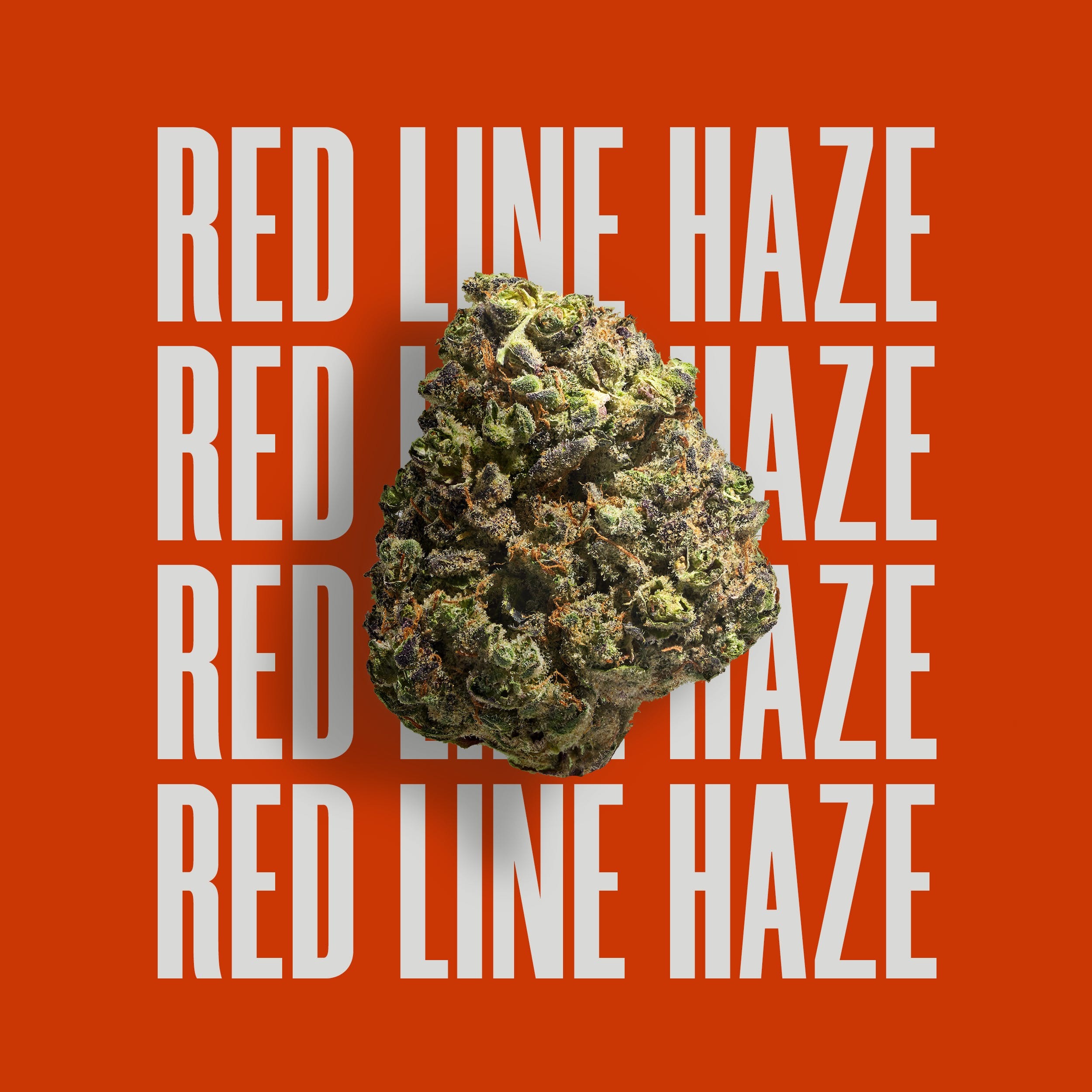 Red Line Haze Cresco Jane