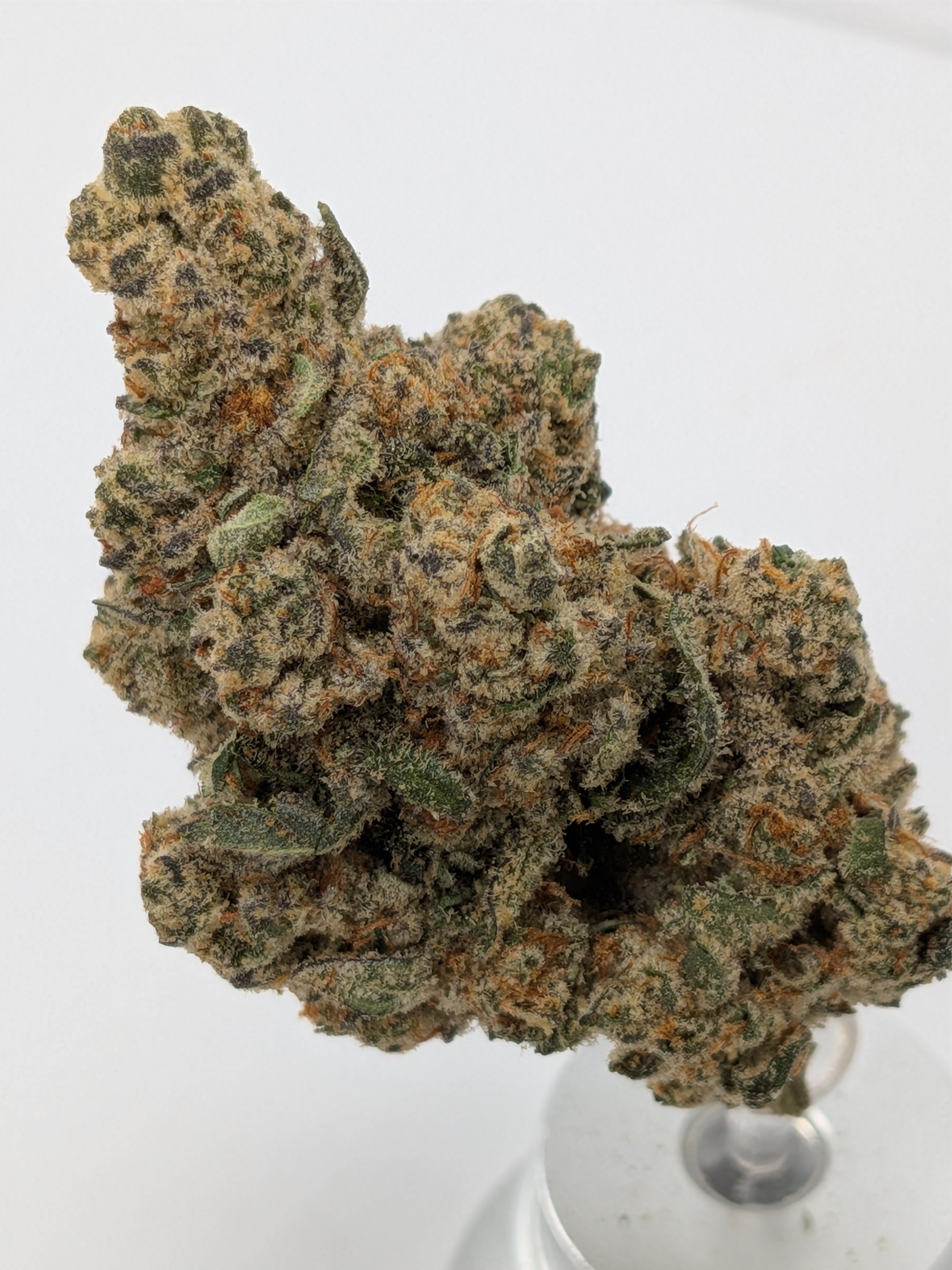 Gg4 Widow