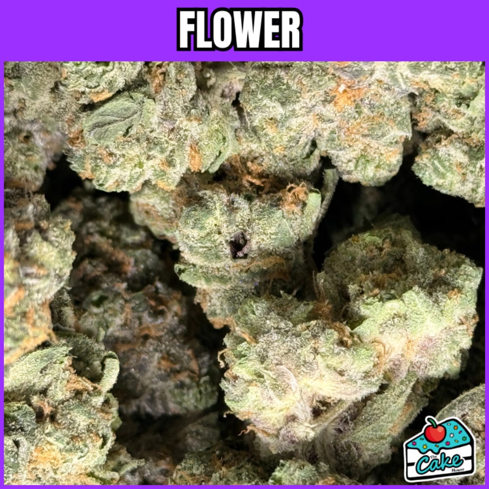 Apple Fritter
