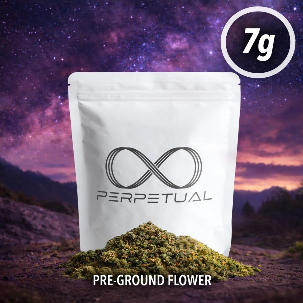 Perpetual - Gar-animals Ready to Roll