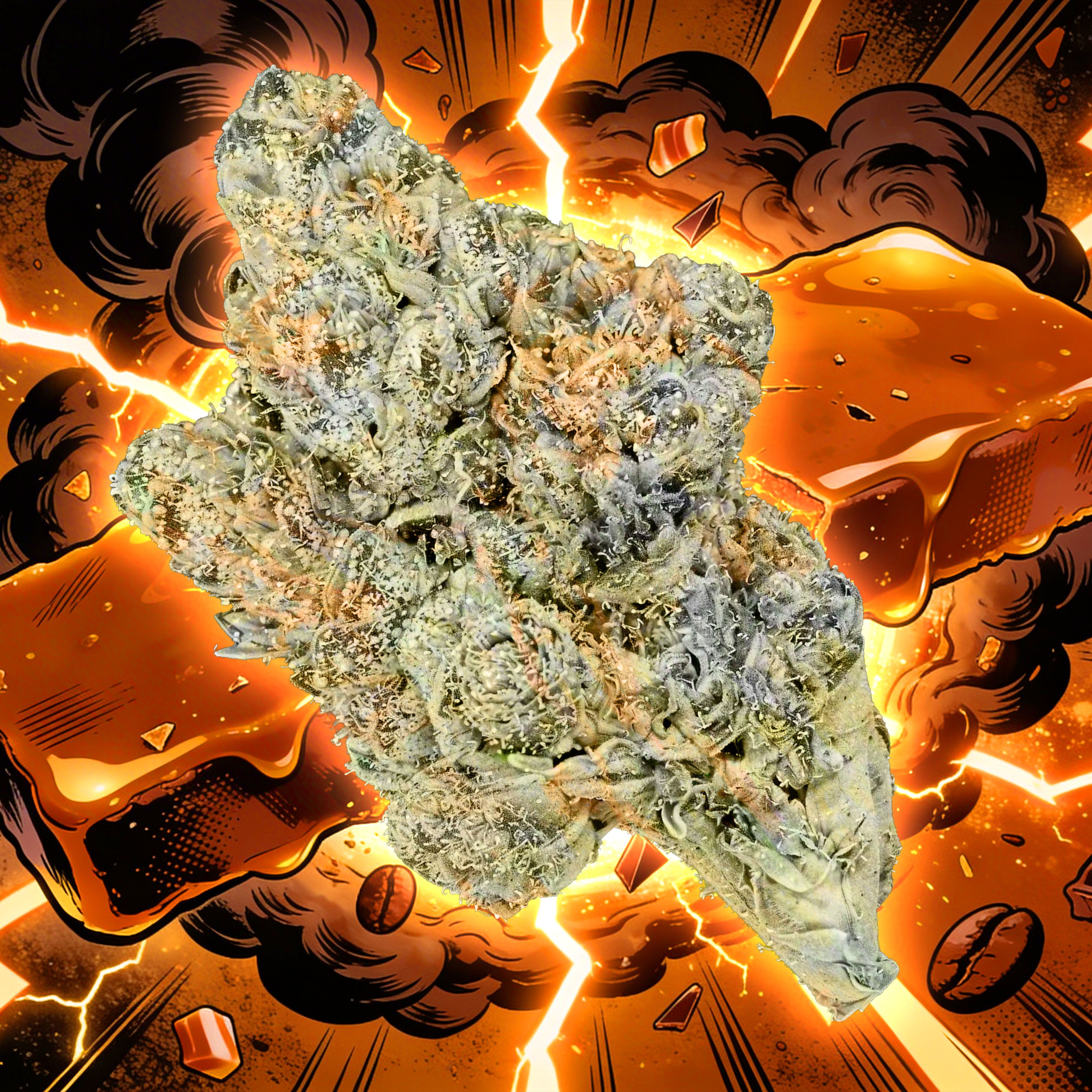 Skor [1g]
