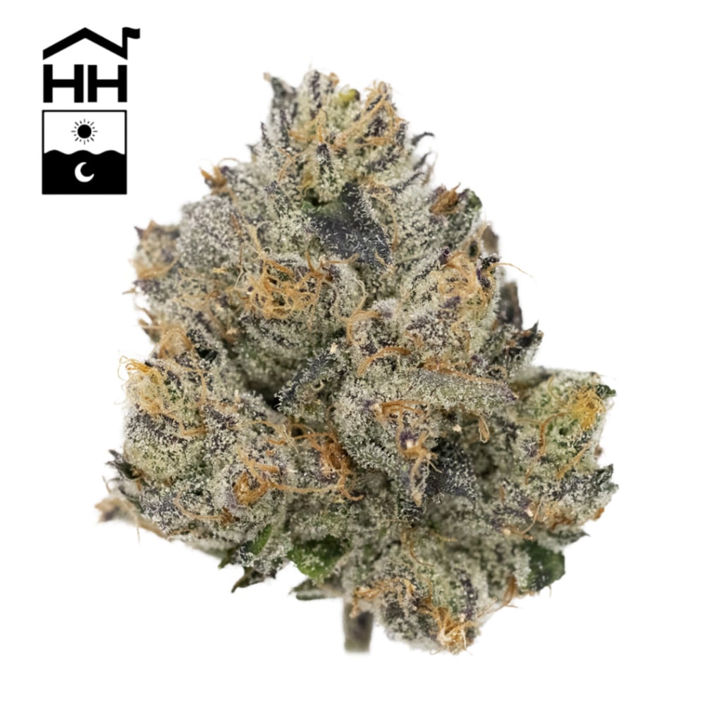 Harbor House Collective - Zeclair Flower