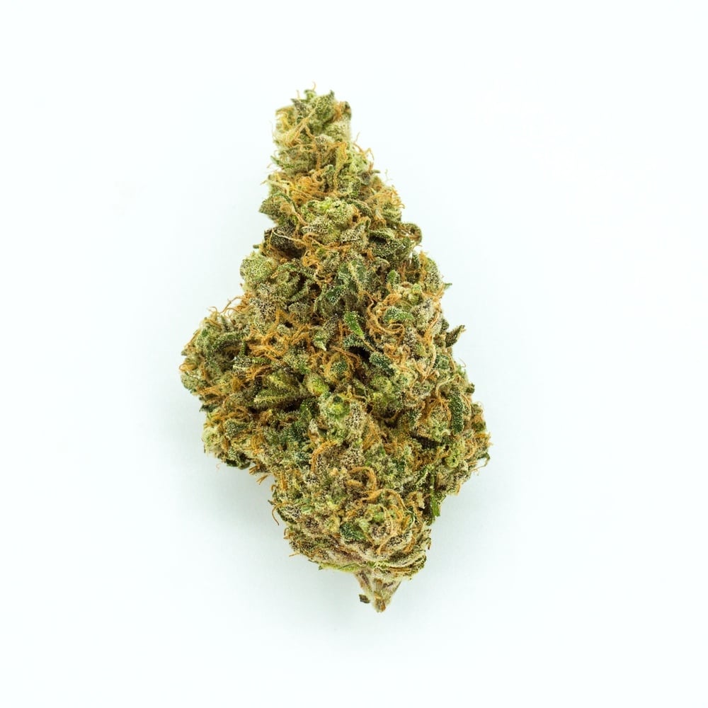 Budhaus - Kiki Flower