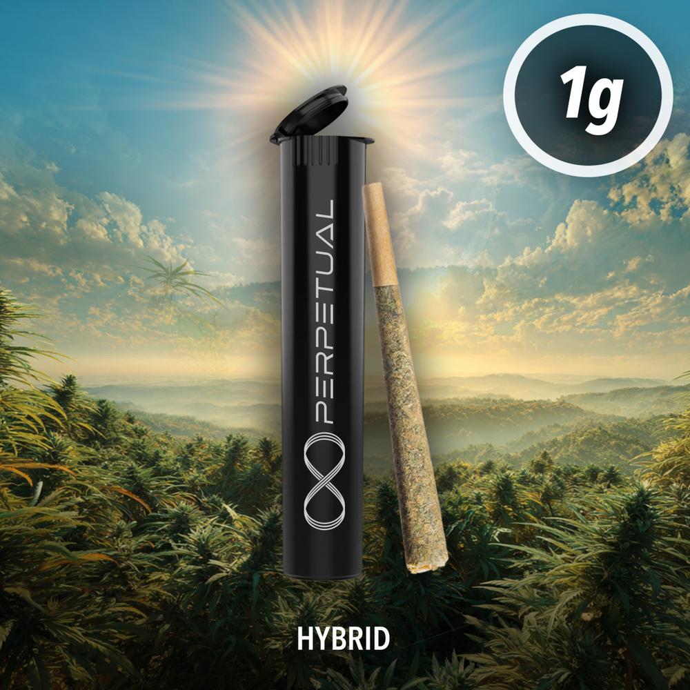 Perpetual - Jelly Ranch-er Pre-Roll (1g)