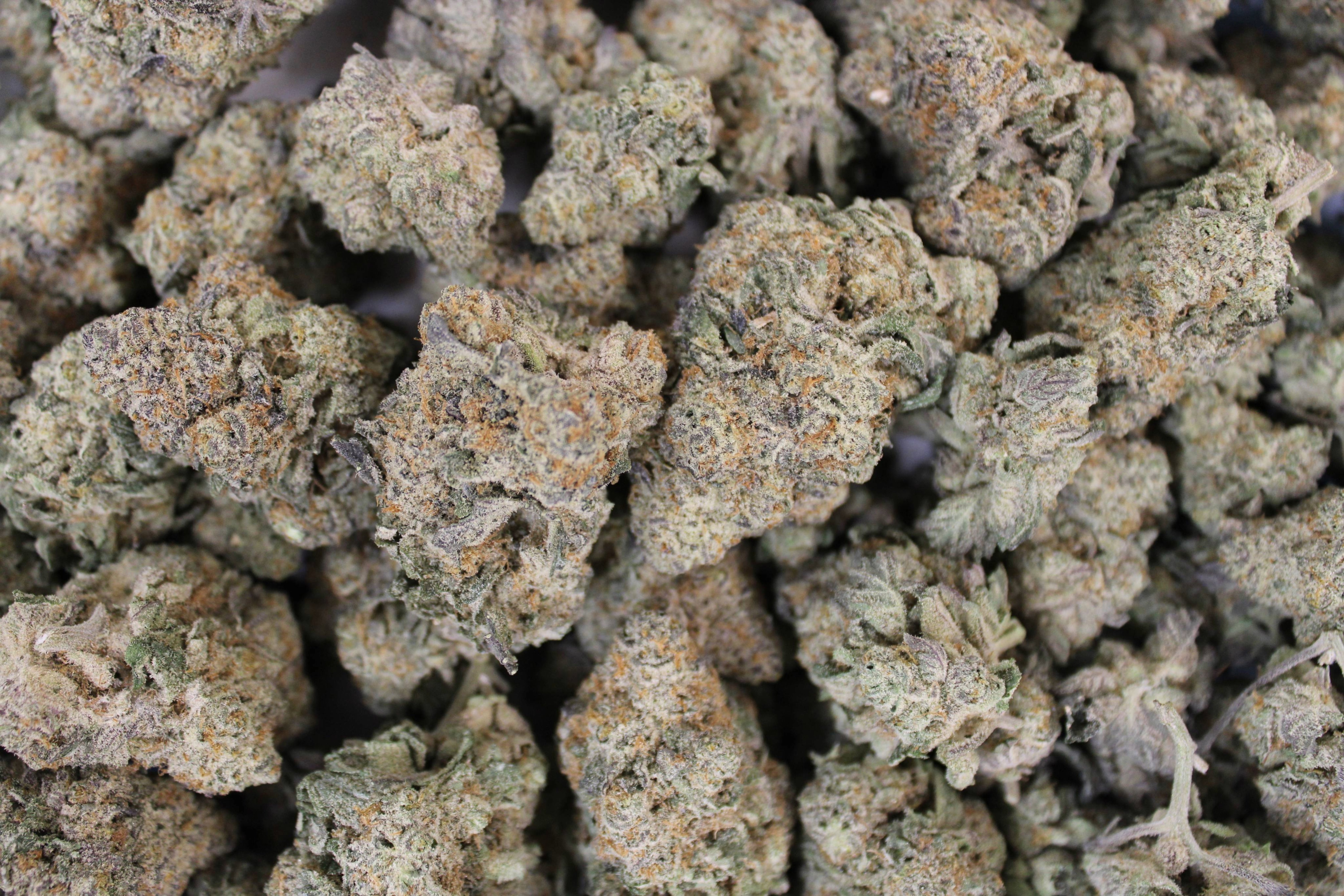Kind Care - Specimen X - Bulk Flower - Indica Hybrid