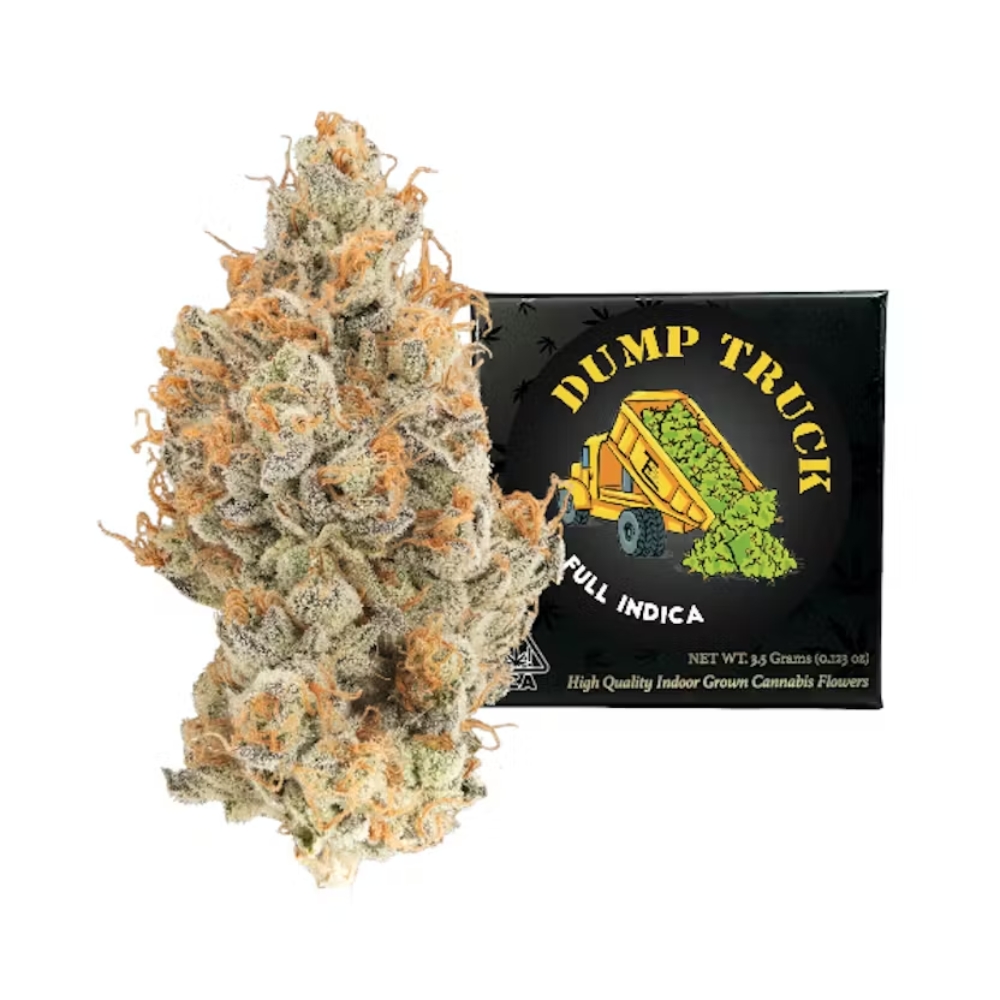 Dump Truck