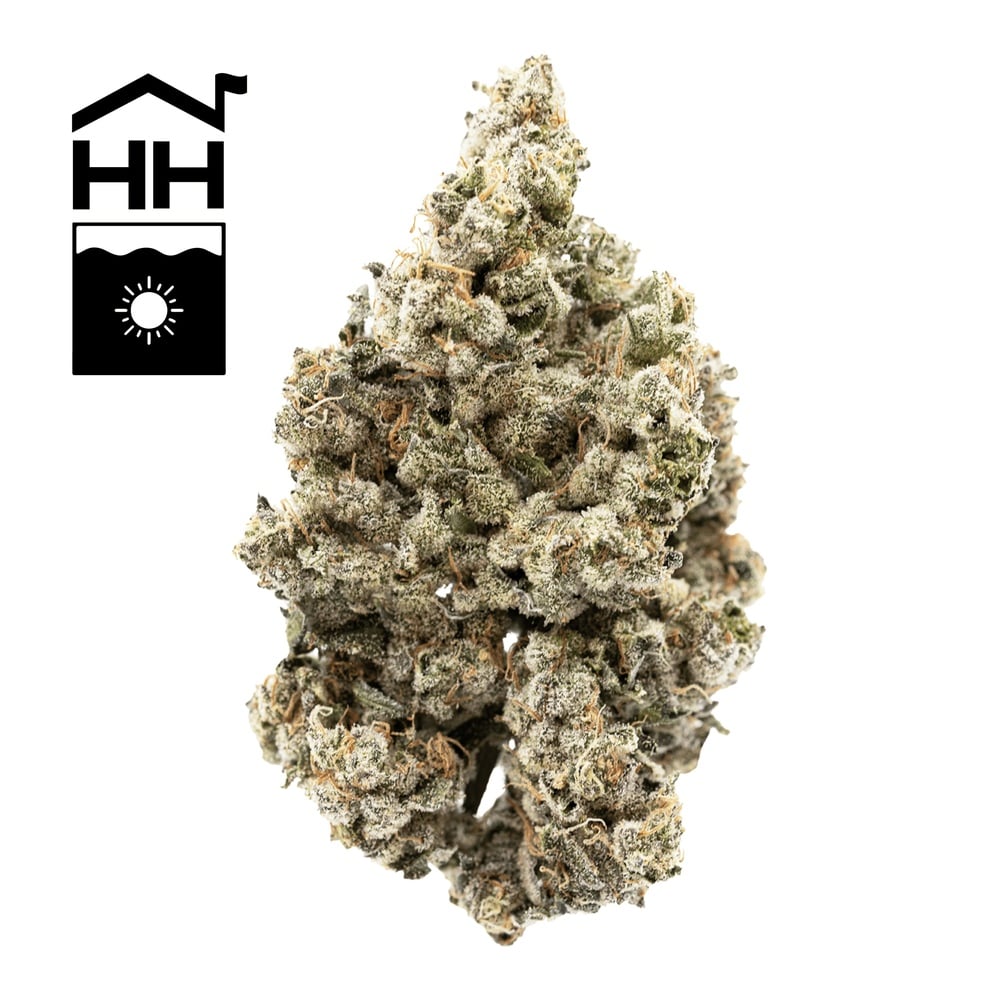 Durban Poison Buds