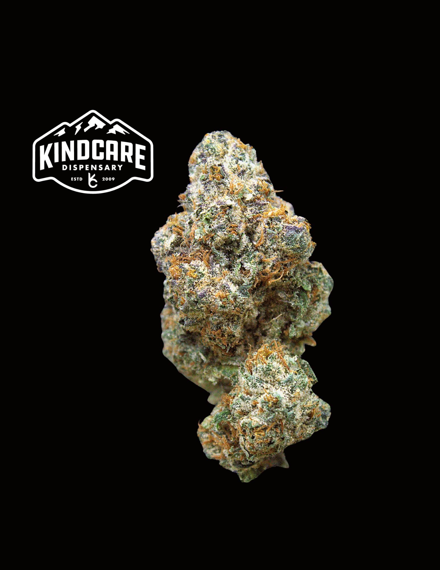 OC Skunk