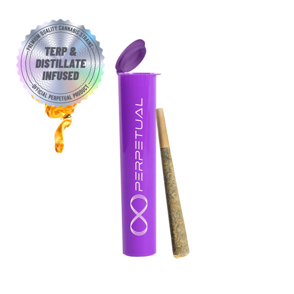 Perpetual - Cherry Bomb Infused Pre-Roll (1g)